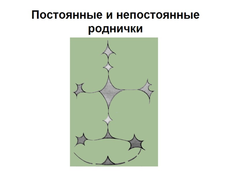 Постоянные и непостоянные роднички